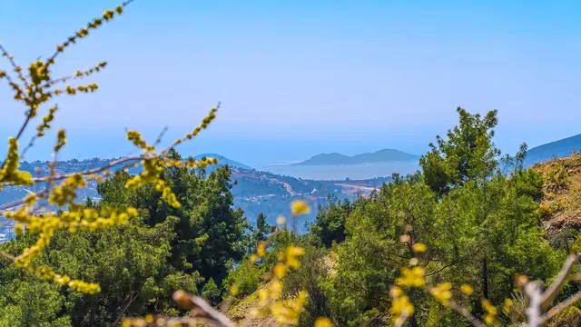 İslamlar’da bahçeli kiralık villa, fotoğraf 4