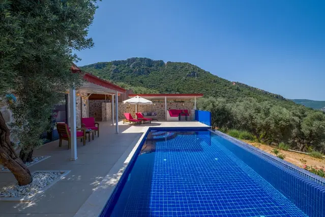 Üzümlü’de özel havuzlu kiralık villa, fotoğraf 2