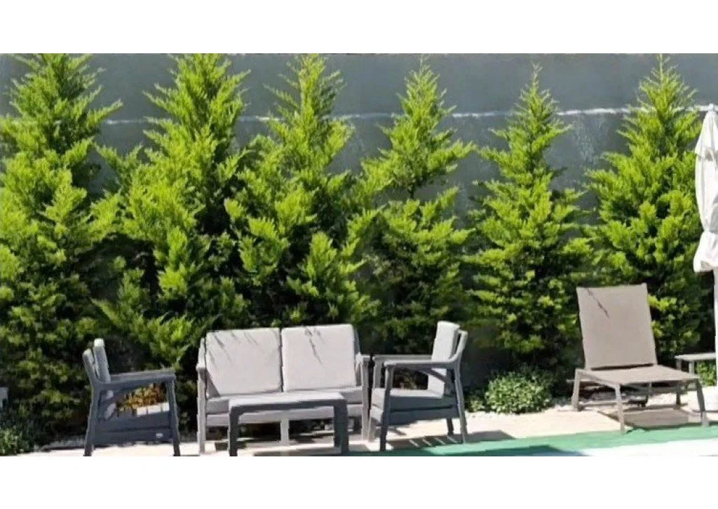 Fethiye’de Sakin Konumda, Isıtmalı Havuzlu, 4 Yatak Odalı, Lüks Villa